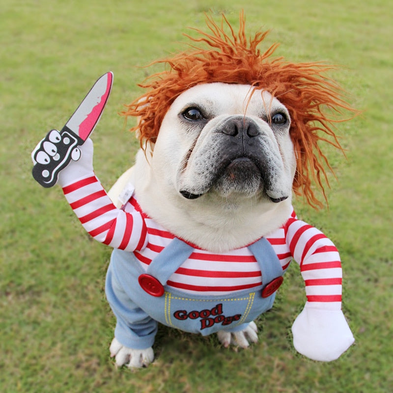 Spooky Pup Styles πΎ