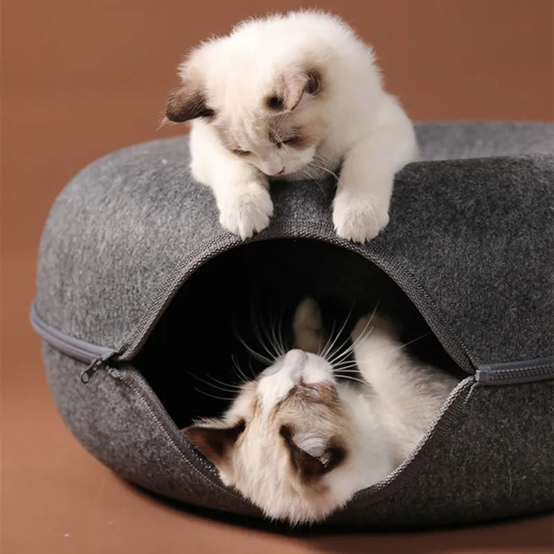 PurrfectPlay™ Cat Bed Where Comfort Meets Fun!