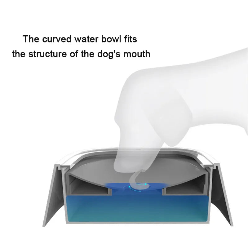 PurrfectPaws: No More Wet Mouth Woes